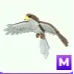 Mega Hawk