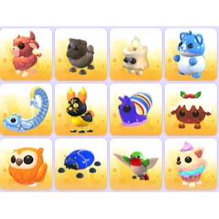 Random Pets x 24