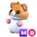 MR Hamster
