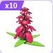 Snapdragon Flower x 10