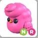 NR Candyfloss Chick