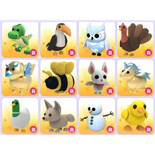 Random Old Ride Pets x 12