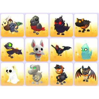 Halloween Pets x 36