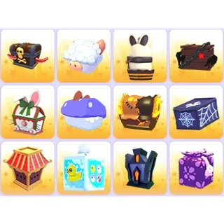 Gift Box x 12