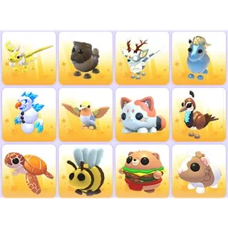 Random Pets x 24