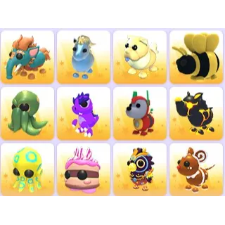 Random Pets x 24