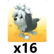 English Sheepdog x 16