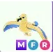 MFR Golden Albatross