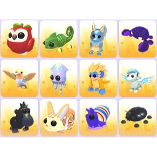 Random Pets x 24