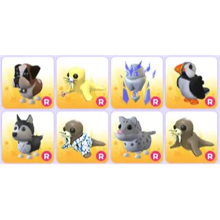 All Winter Xmas 2021 Ride Pets x 8