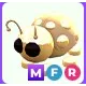 MFR Golden Ladybug