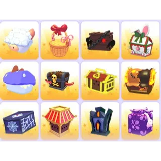 Gift Box x 12