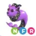 NFR Capricorn