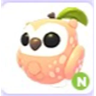 Neon Peach Owl