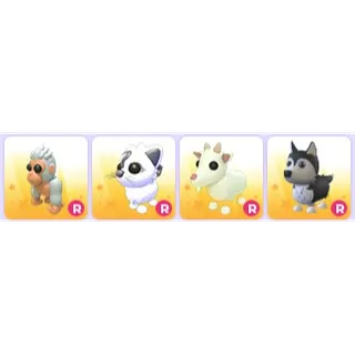 Good Ride Pets x 4