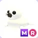 MR Harp Seal