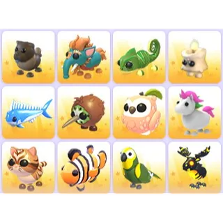 Random Pets x 24