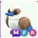 MFR Kookaburra