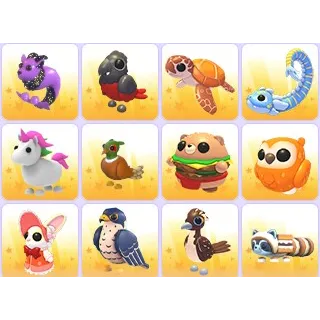 Random Pets x 24