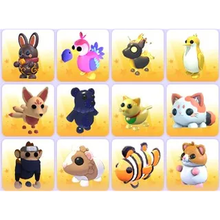 Random Pets x 24