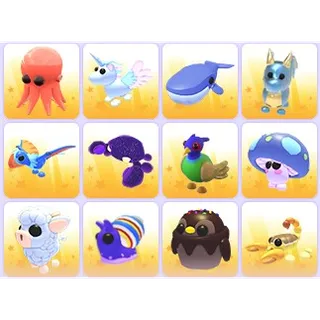 Random Pets x 24
