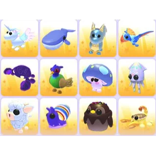 Random Pets x 24