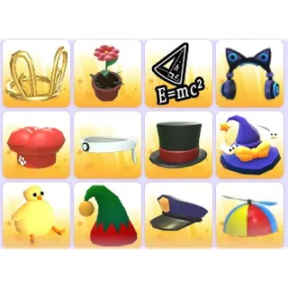 Pet Wear x 12