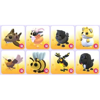 Ride Pets x 8