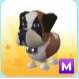 Mega St Bernard