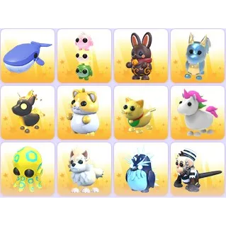 Random Pets x 24