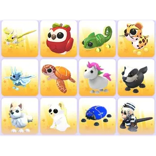 Random Pets x 24