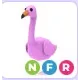 NFR Flamingo