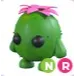 NR Cactus Friend