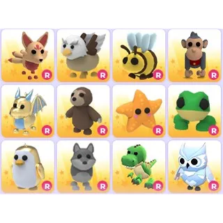 Random Old Ride Pets x 12