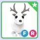 Arctic Reindeer