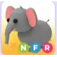 NFR Elephant