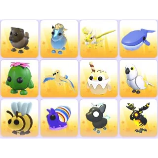 Random Pets x 24