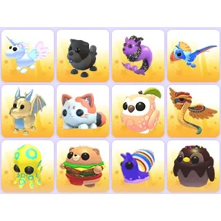 Random Pets x 24
