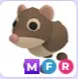 MFR Shrew