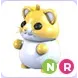 NR Golden Hamster