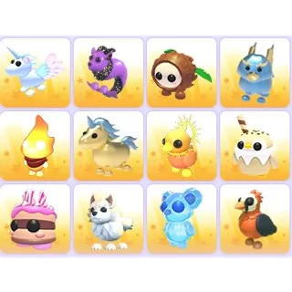 Random Pets x 24