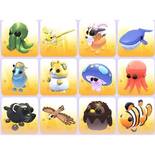 Random Pets x 24