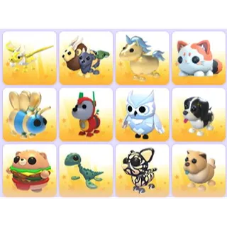 Random Pets x 24