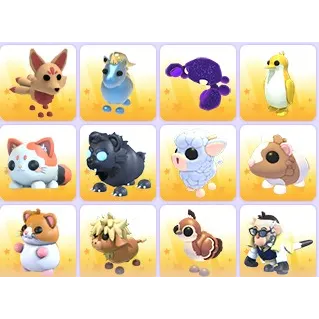 Random Pets x 24