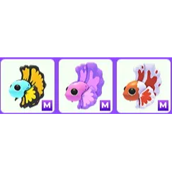 Mega Betta Fish Bundle