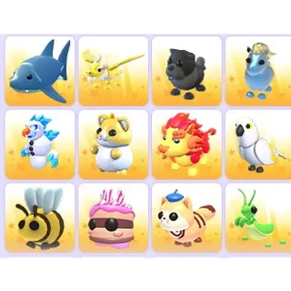 Random pets x 24