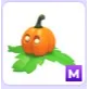 Mega Pumpkin Friend