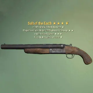 Salt Of The Earth Max Level