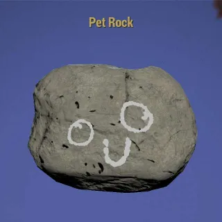 Pet Rock Displayable Misc