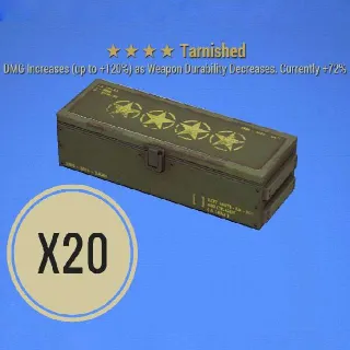 Tarnished Mod Box X20
